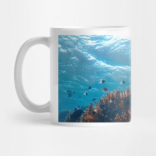 Underwater photography Mug